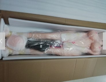 Doll in foam and inner wrap inside the carton
